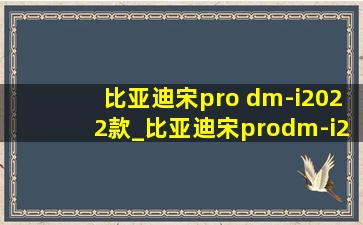 比亚迪宋pro dm-i2022款_比亚迪宋prodm-i2022款顶配